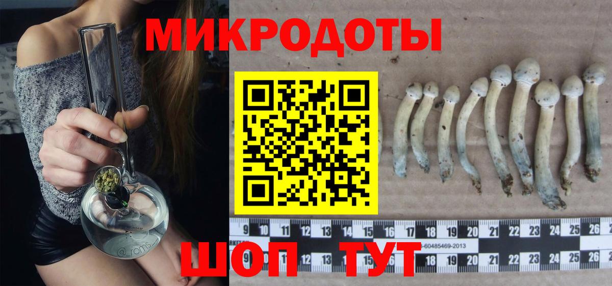 Псилоцибиновые грибы ЛСД  Вход с VPN  Большой Камень  цены наркотик  Галлюциногенные грибы мицелий 